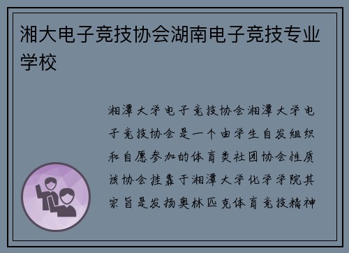 湘大电子竞技协会湖南电子竞技专业学校